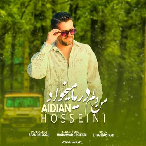aidin hosseini man delam darya mikhad 2025 09 29 13 25