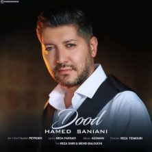 hamed saniani dood 2025 09 01 17 25