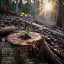 maghsad reborn 2025 09 25 18 25