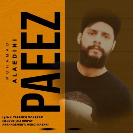 دانلود آهنگ محمد علاءالدینی پاییز 11 mohamad alaedini paeez 2025 09 30 09 20