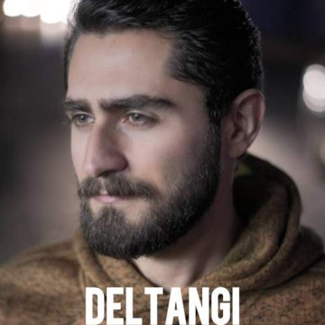 دانلود آهنگ سینا توسلی دلتنگی 10 sina tavasoli deltangi 2025 09 22 14 15