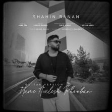 shahin banan hame avalesh khooban guitar version 2025 10 22 21 25