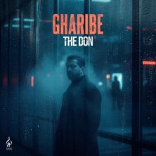 the don gharibe 2025 10 18 20 40