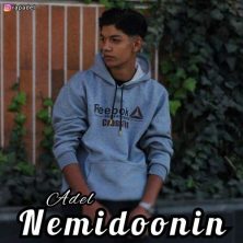 adel nemidoonin 2025 11 25 00 45