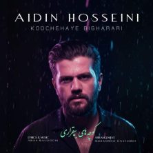 aidin hosseini koochehaye bigharari 2025 11 17 22 35