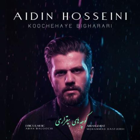 aidin hosseini koochehaye bigharari 2025 11 17 22 35