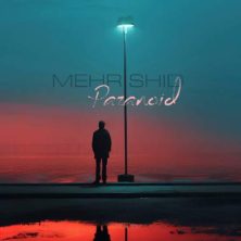 mehrshid paranoid 2025 11 26 19 35