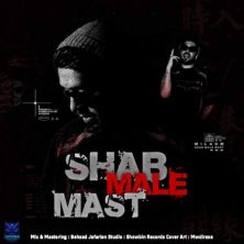 miladam shab male mast 2025 11 23 14 35