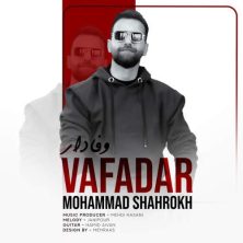 mohammad shahrokh vafadar 2025 11 27 00 50