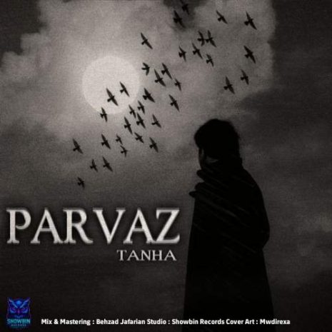 parvaz tanha 2025 11 18 16 10