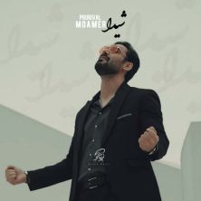 pouria moamer sheyda 2025 11 26 14 50