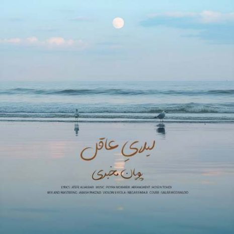 pouyan mokhberi leilaye aghel 2025 11 19 19 00