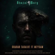 shahab tasalot ft meysam ghazal marg 2025 11 28 03 10