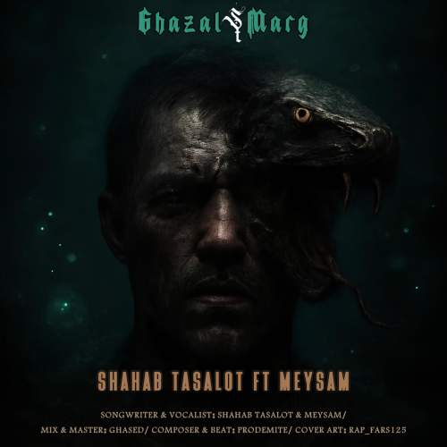 shahab tasalot ft meysam ghazal marg 2025 11 28 03 10