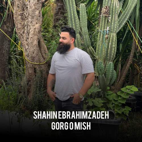 shahin ebrahimzadeh gorg o mish 2025 11 07 18 45