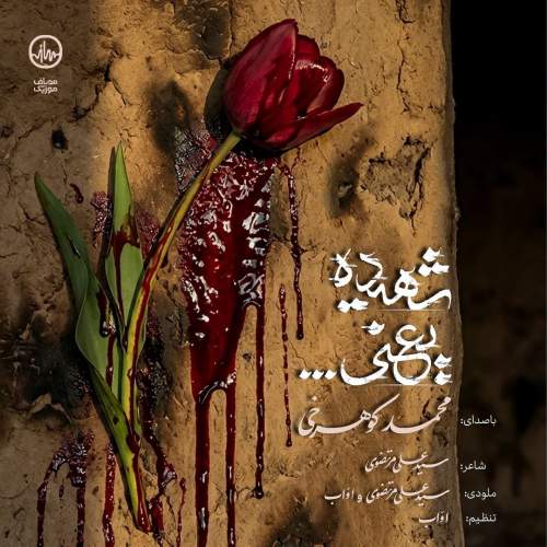 mohammad koohrokhi shahide yani 2025 12 28 21 05