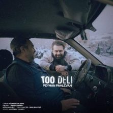 peyman pahlevan too deli 2025 12 23 14 45