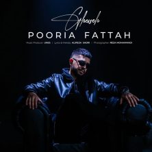 pooria fattah ghesseh 2025 12 10 19 35