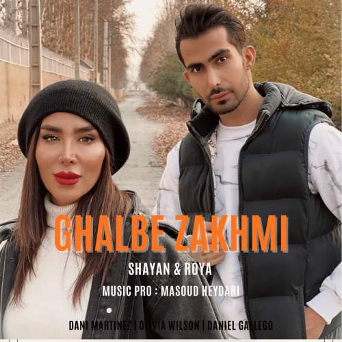 shayan x roya ghalbe zakhmi 2025 12 16 21 15