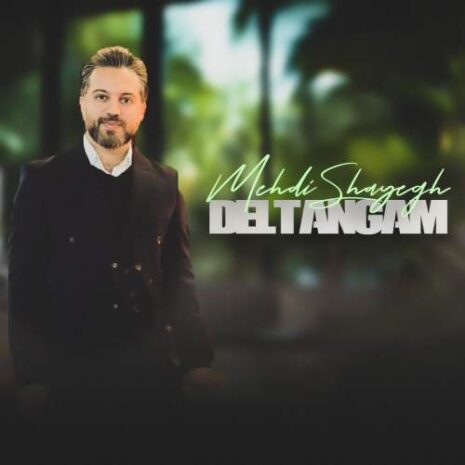 mehdi shayegh deltangam 2026 02 01 23 48