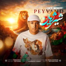 peyvand shire zhiyan 2026 02 05 02 48