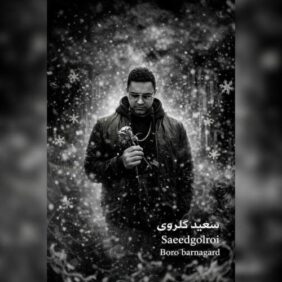 saeed golroi boro barnagard 2026 02 25 11 32