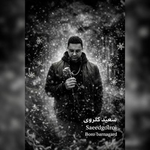 saeed golroi boro barnagard 2026 02 25 11 32
