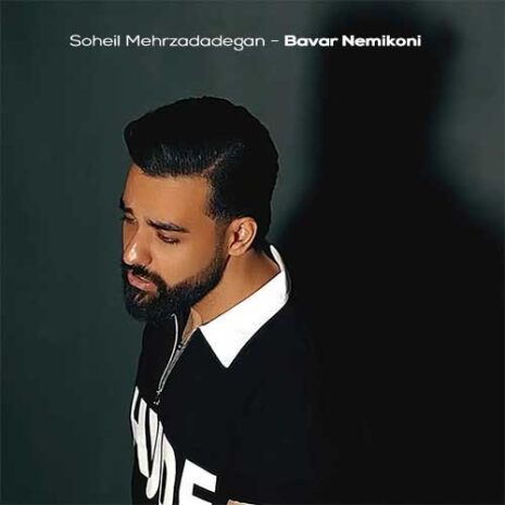 soheil mehrzadadegan bavar nemikoni 2026 02 10 02 16