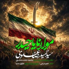seyed hamidreza alavi molana ya heydar 2026 06 04 16 30
