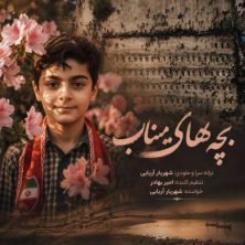 shahryar aryaee bachehaye minab 2026 06 29 18 37
