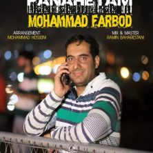 mohammad farbod panahetam 2026 07 17 13 59