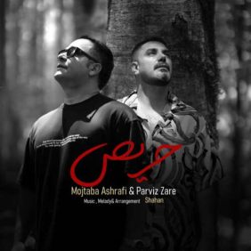 mojtaba ashrafi ft parviz zare haris 2026 07 12 21 09