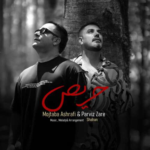 mojtaba ashrafi ft parviz zare haris 2026 07 12 21 09