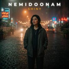 shiny nemidoonam 2026 07 25 17 21