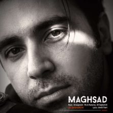 ali sagharichi maghsad 2026 08 29 04 30