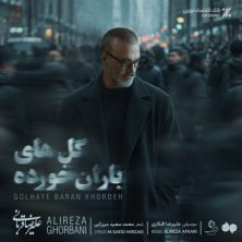 alireza ghorbani golhaye barankhordeh 2026 08 11 03 21