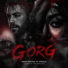 amir parvaz ft veiola gorg 2026 08 11 03 24