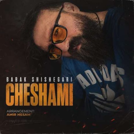 babak shishegari cheshami 2026 08 13 20 05