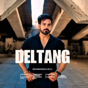 mohamadreza seyli deltang 2026 08 05 20 45