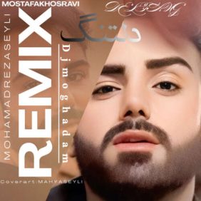 mohamadreza seyli deltang remix 2026 08 04 23 38