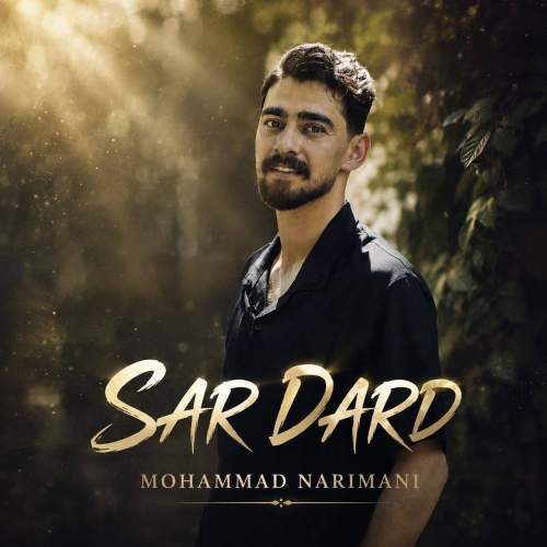 mohammad narimani sardard 2026 08 15 16 40
