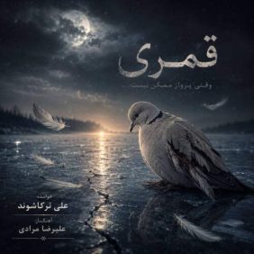 ali torkashvand ghomri 2026 09 01 18 00