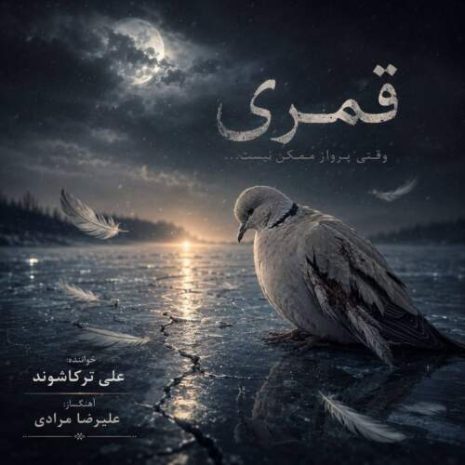ali torkashvand ghomri 2026 09 01 18 00
