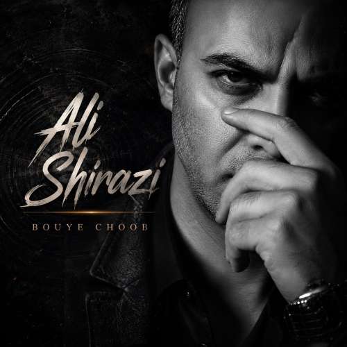 ali shirazi bouye choob 2026 10 16 12 30