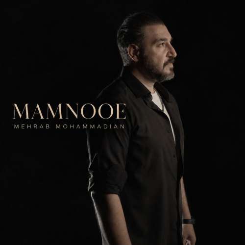mehrab mohammadian mamnooe 2026 10 03 20 30